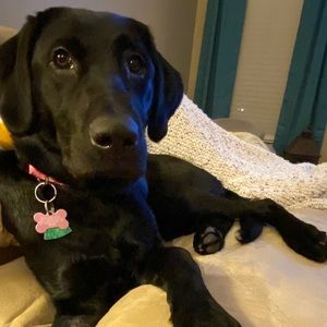 Meet your Posher, Shealynn